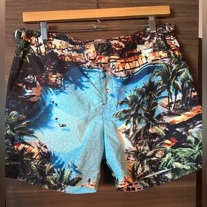 Orlebar Brown Scenic “Pooling Around” Men’s Swim Trunks